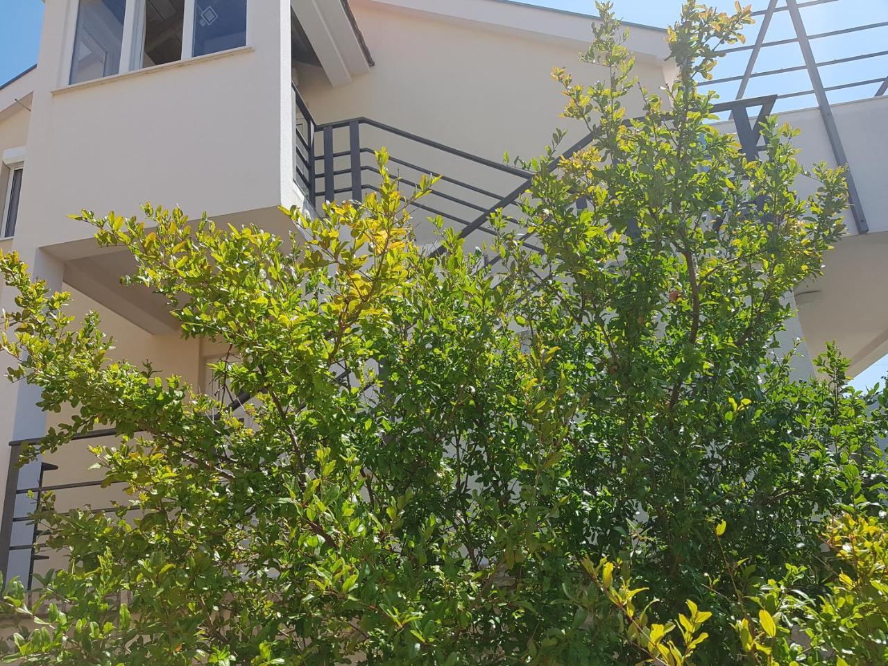 Apartments Maria Ivanica Bagian luar foto